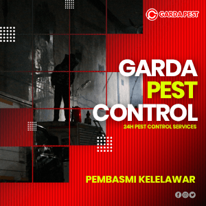 Jasa Pembasmi Kelelawar di Tangerang Terbaik No.1