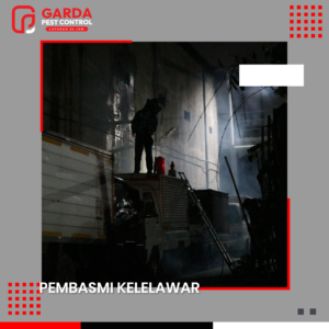 Layanan Jasa Pembasmi Kelelawar Tangerang