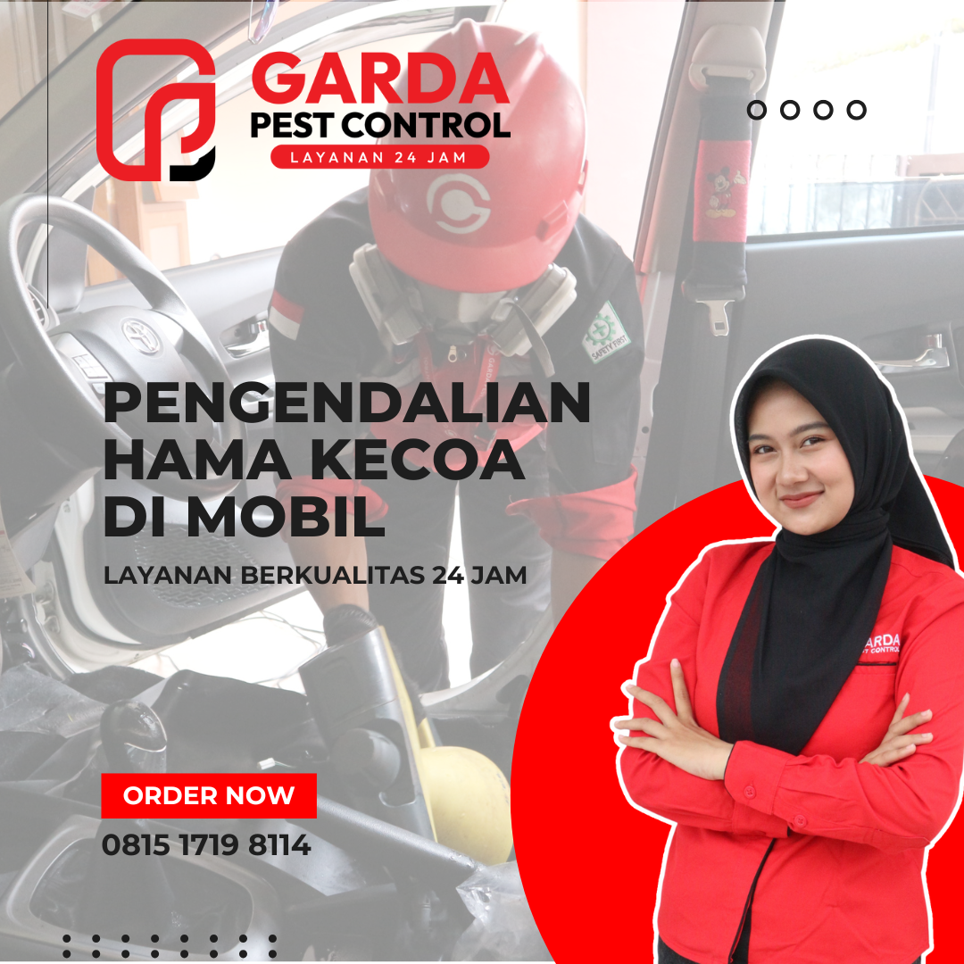 Jasa Pembasmi Kecoa Kecil di Mobil Tangerang Tanpa Bongkar Bergaransi