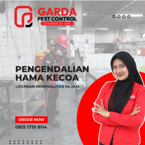 Solusi Rumah Bebas Kecoa di Tangerang dengan Garda Pest Control
