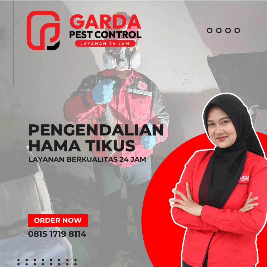 Jasa Pembasmi Tikus di Tangerang Untuk Pabrik Gudang & Perkantoran