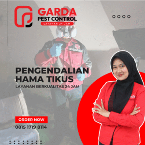 Jasa Pembasmi Tikus di Tangerang Berpengalaman