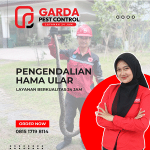 Jasa Pembasmi Ular di Tangerang Terbaik No.1