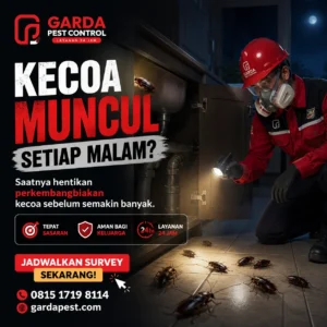 Pembasmi Kecoa Profesional Tangerang