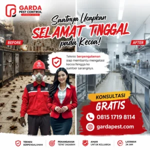 Harga Jasa Pembasmi Kecoa Tangerang