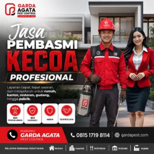 Jasa Pembasmi Kecoa Terbaik Tangerang