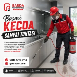 Jasa Pembasmi Kecoa Rumah di Tangerang