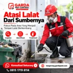 Jasa Pembasmi Lalat Tangerang
